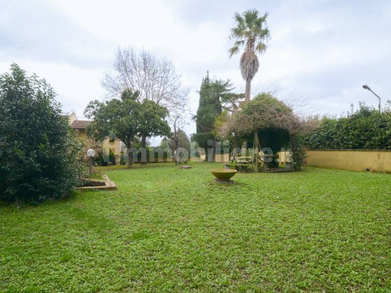 giardino