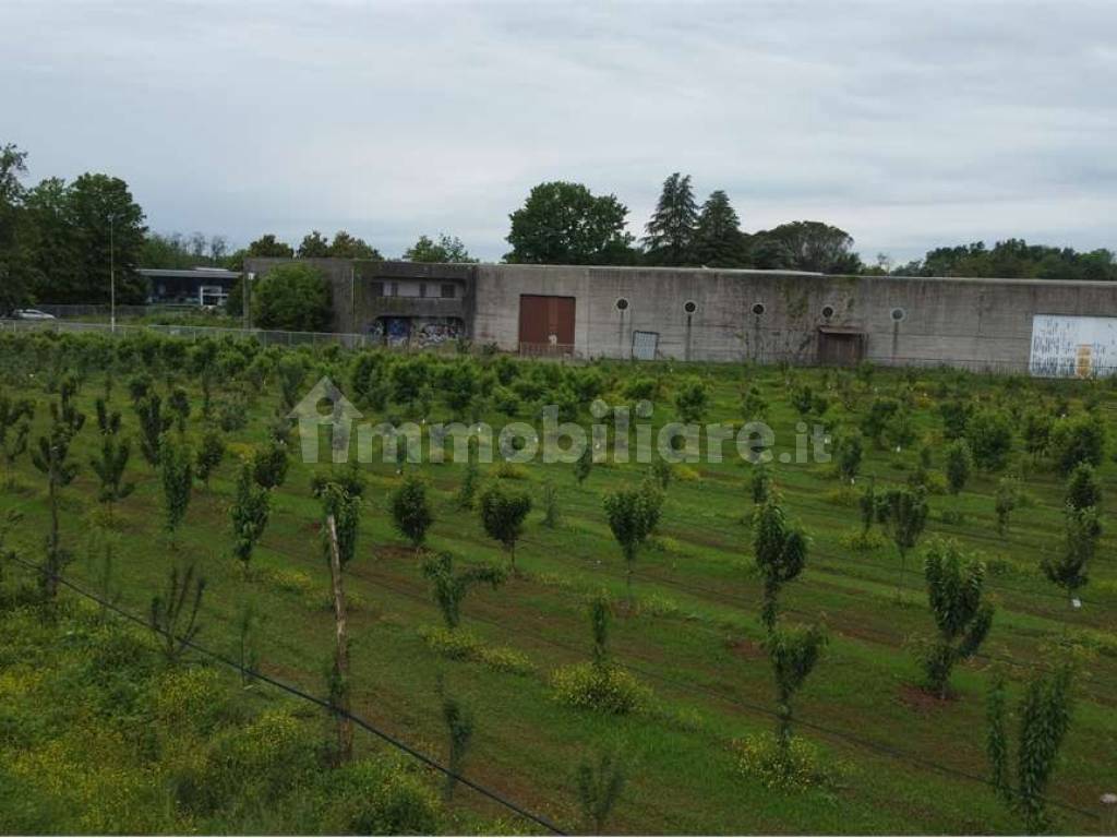 Terreno agricolo (Frutteto Bio) a Misinto