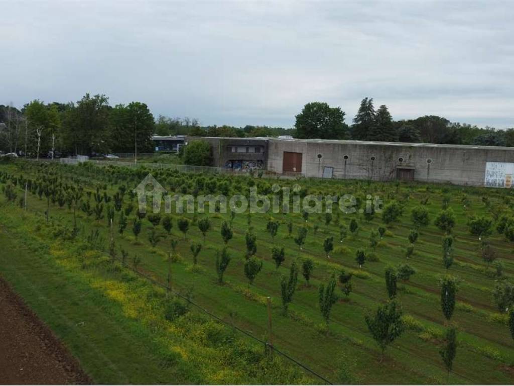 Terreno agricolo (Frutteto Bio) a Misinto