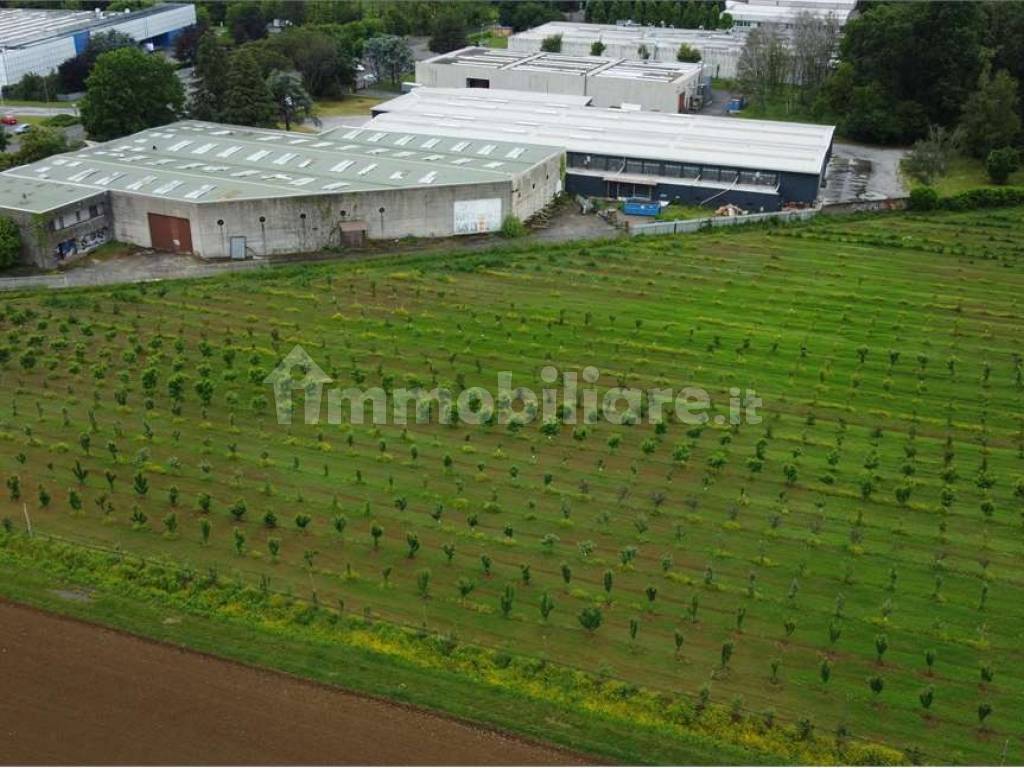 Terreno agricolo (Frutteto Bio) a Misinto