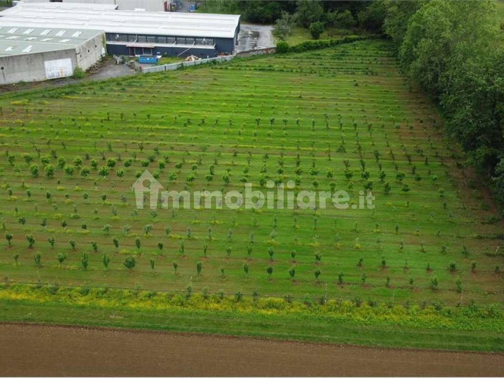 Terreno agricolo (Frutteto Bio) a Misinto