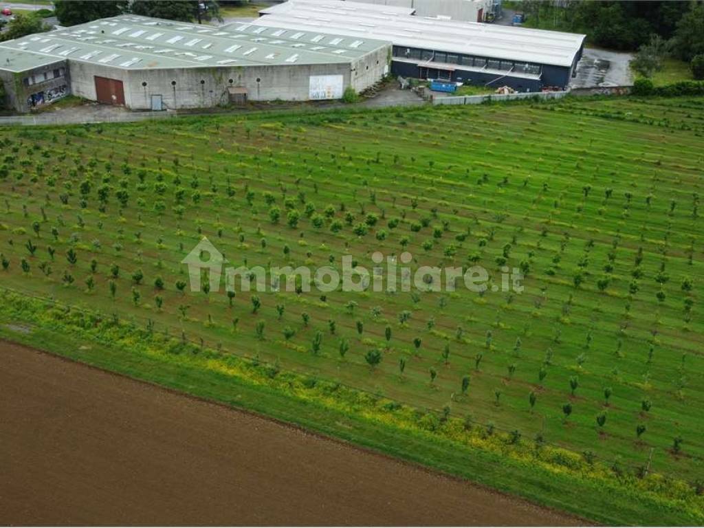 Terreno agricolo (Frutteto Bio) a Misinto