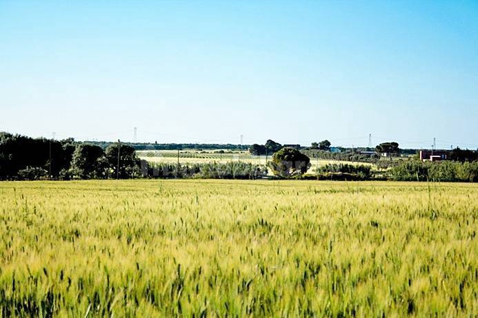 tenuta vitivinicola