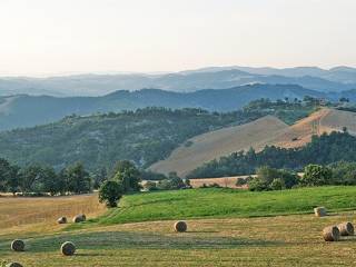 vista panoramica