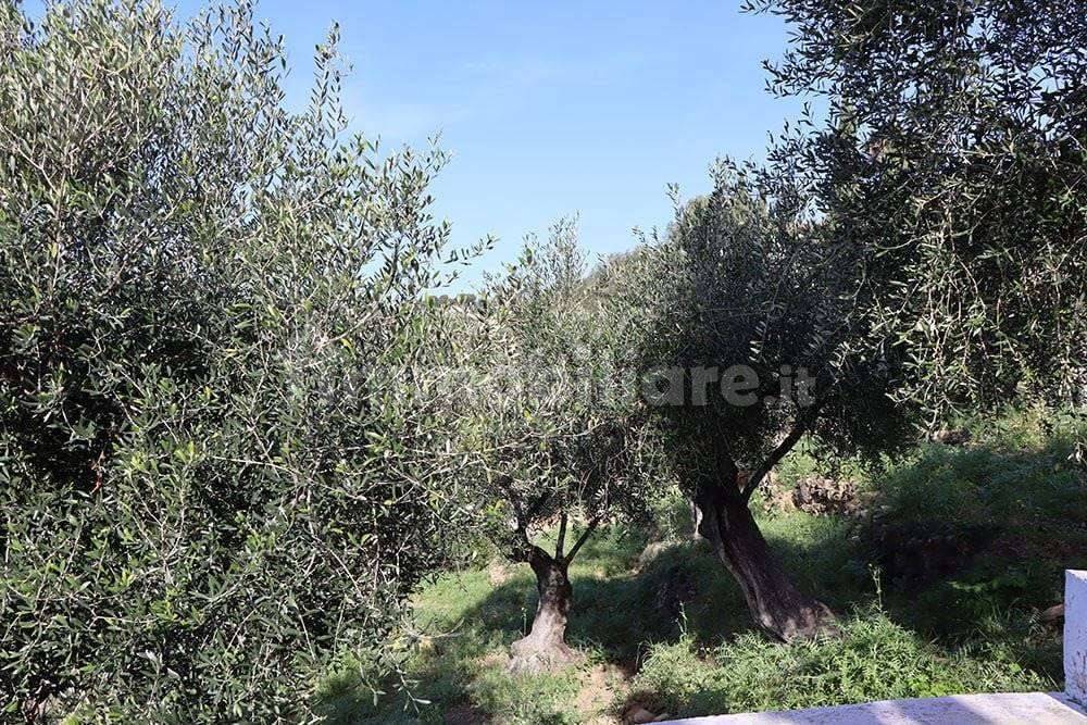 Imperia-Liguria-villa-for-sale-le-45098-231