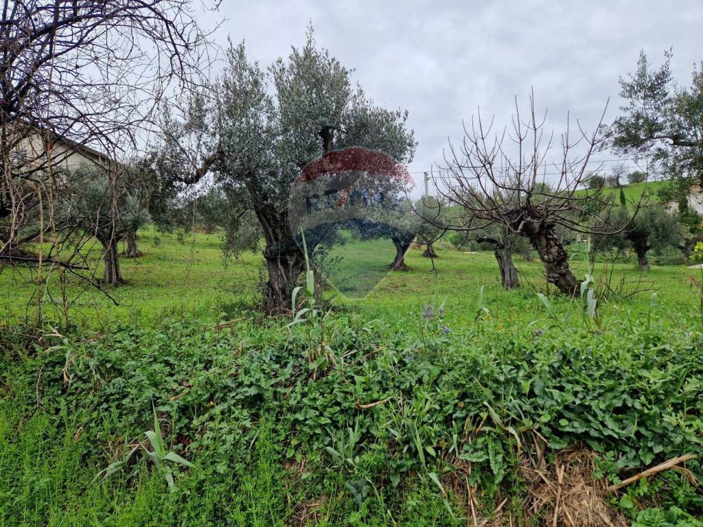 Terreno edificabile c.da colle san antonio 4, bucchianico