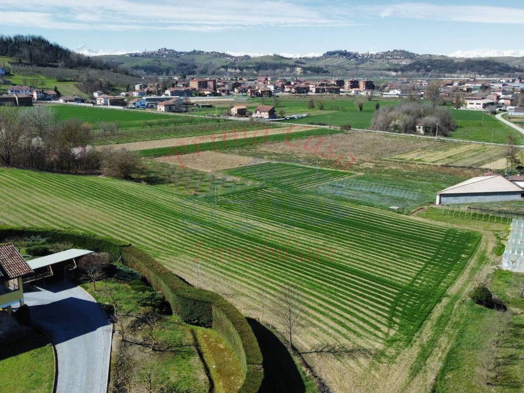 Terreno agricolo strada san pancrazio, costigliole d'asti