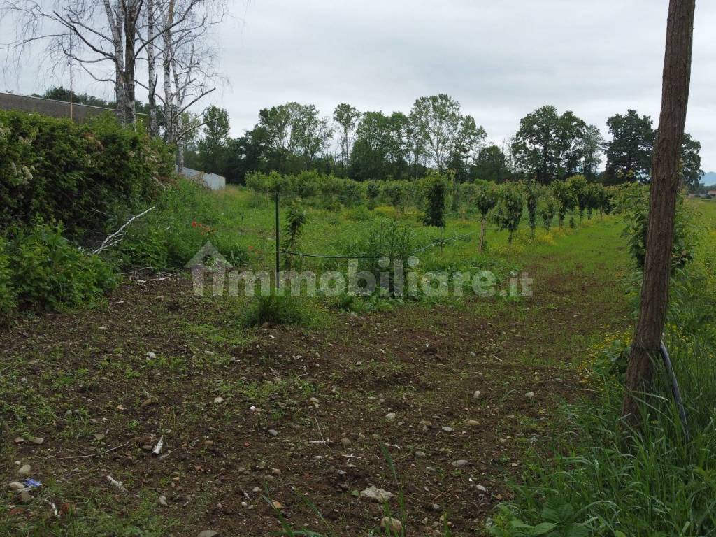 Terreno agricolo (Frutteto Bio) a Misinto