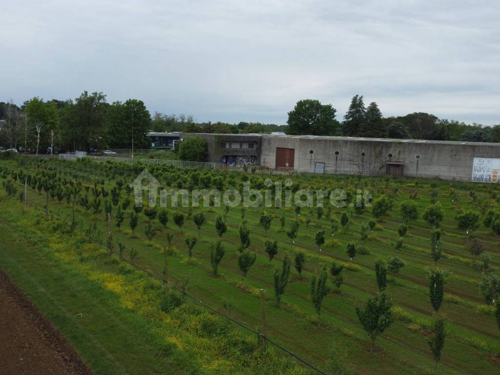 Terreno agricolo (Frutteto Bio) a Misinto