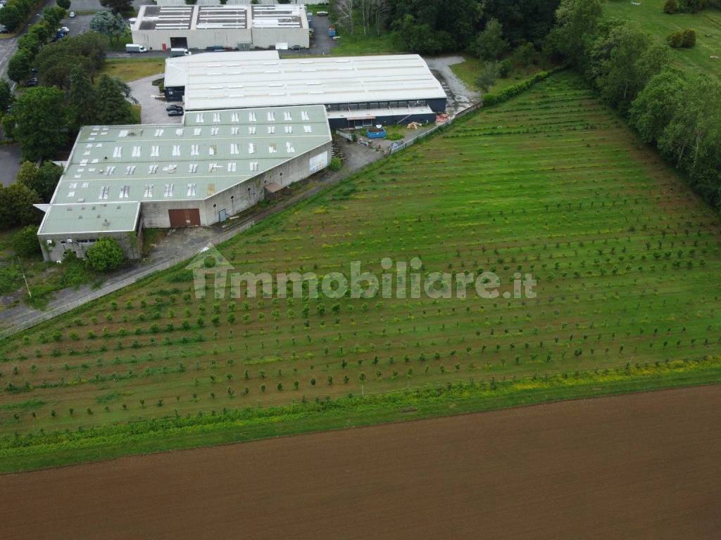 Terreno agricolo (Frutteto Bio) a Misinto