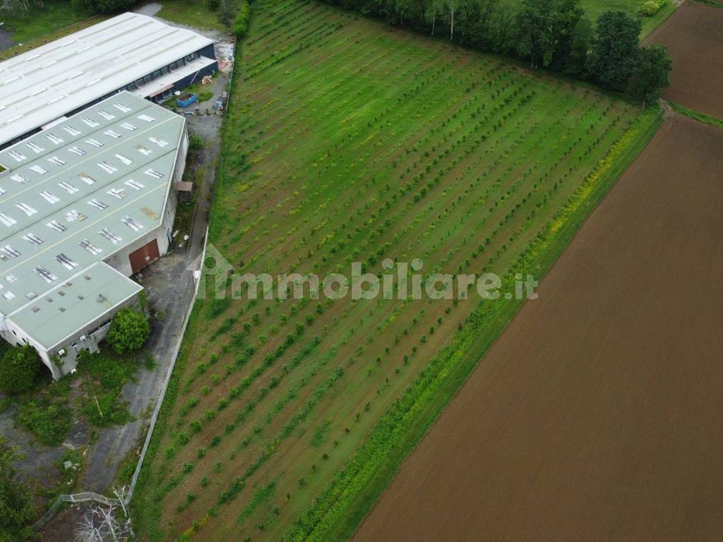 Terreno agricolo (Frutteto Bio) a Misinto