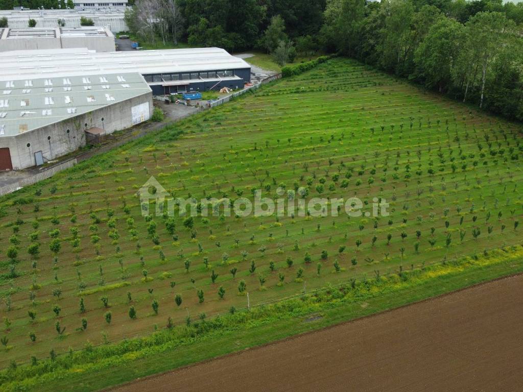 Terreno agricolo (Frutteto Bio) a Misinto