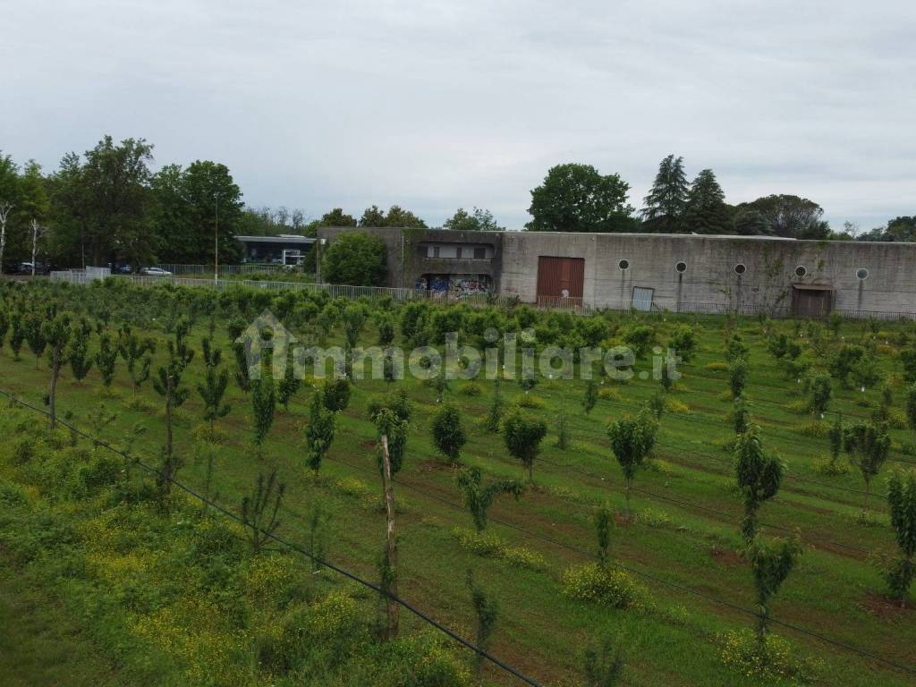 Terreno agricolo (Frutteto Bio) a Misinto