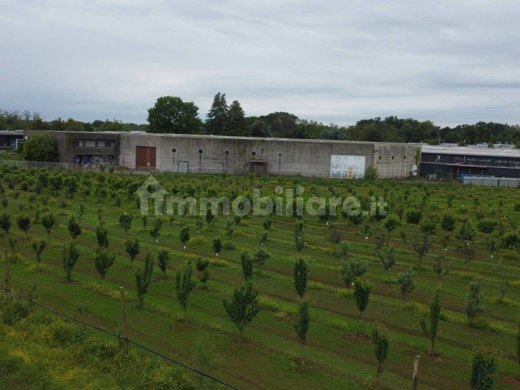 Terreno agricolo (Frutteto Bio) a Misinto