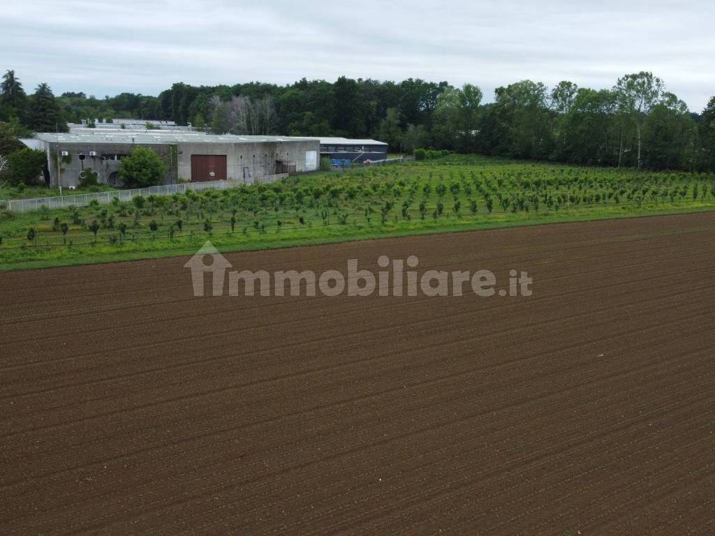 Terreno agricolo (Frutteto Bio) a Misinto