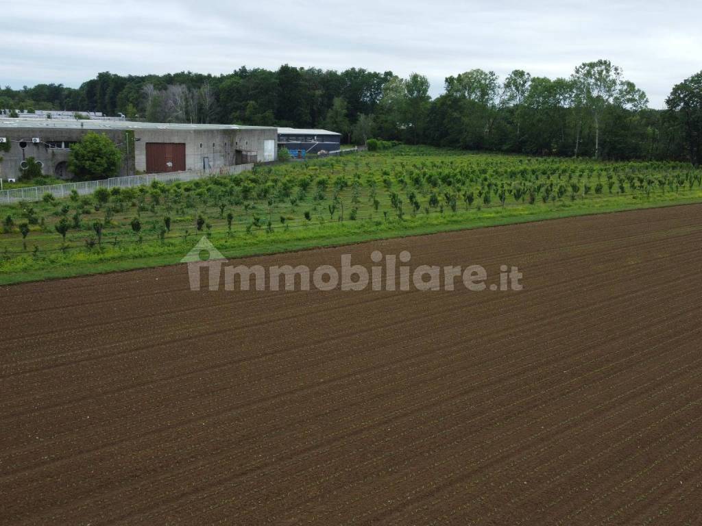 Terreno agricolo (Frutteto Bio) a Misinto