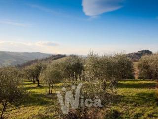 Il fondo agricolo