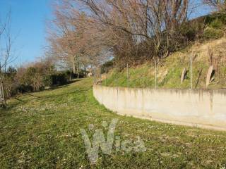 Il giardino con predisposizione della piscina