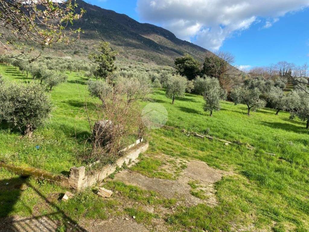 vista dal terrazzo