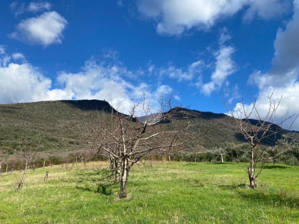 Monte Gennaro