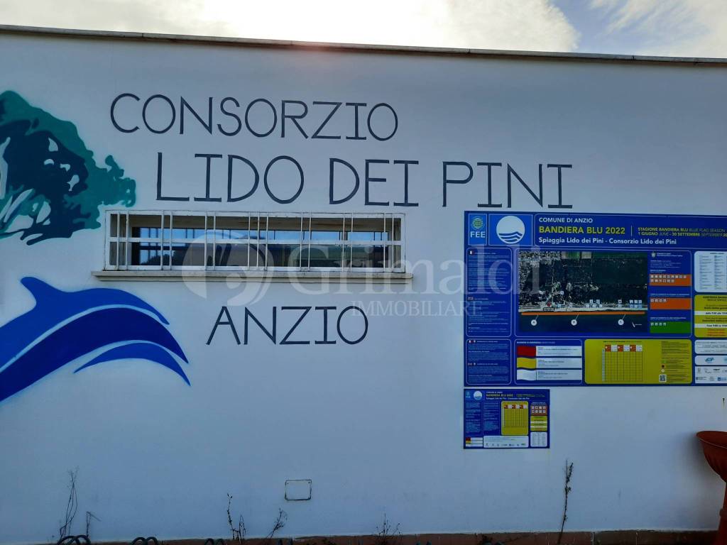 Stabilimento consorzio.jpg