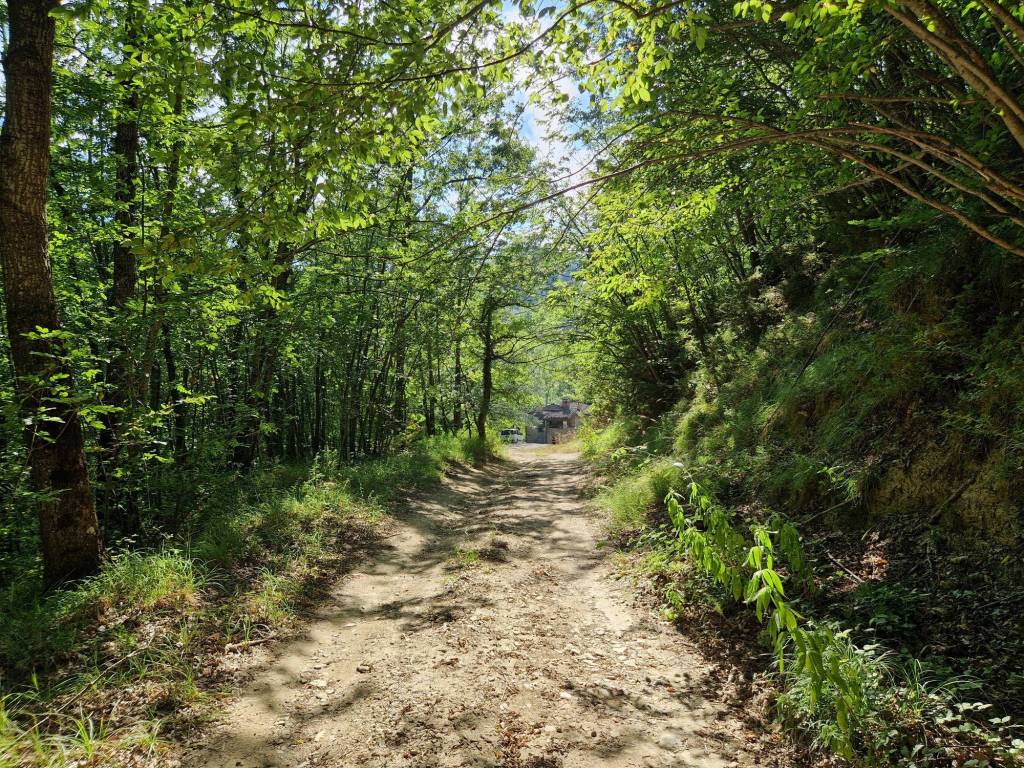 CASA NEL PARCO NATURALE A CORTINO