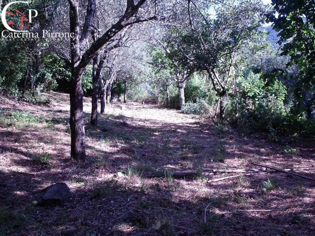 Rufina campagna vendesi casa con terreno