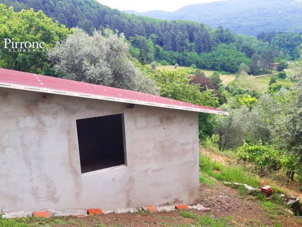 Rufina campagna vendesi casa con terreno