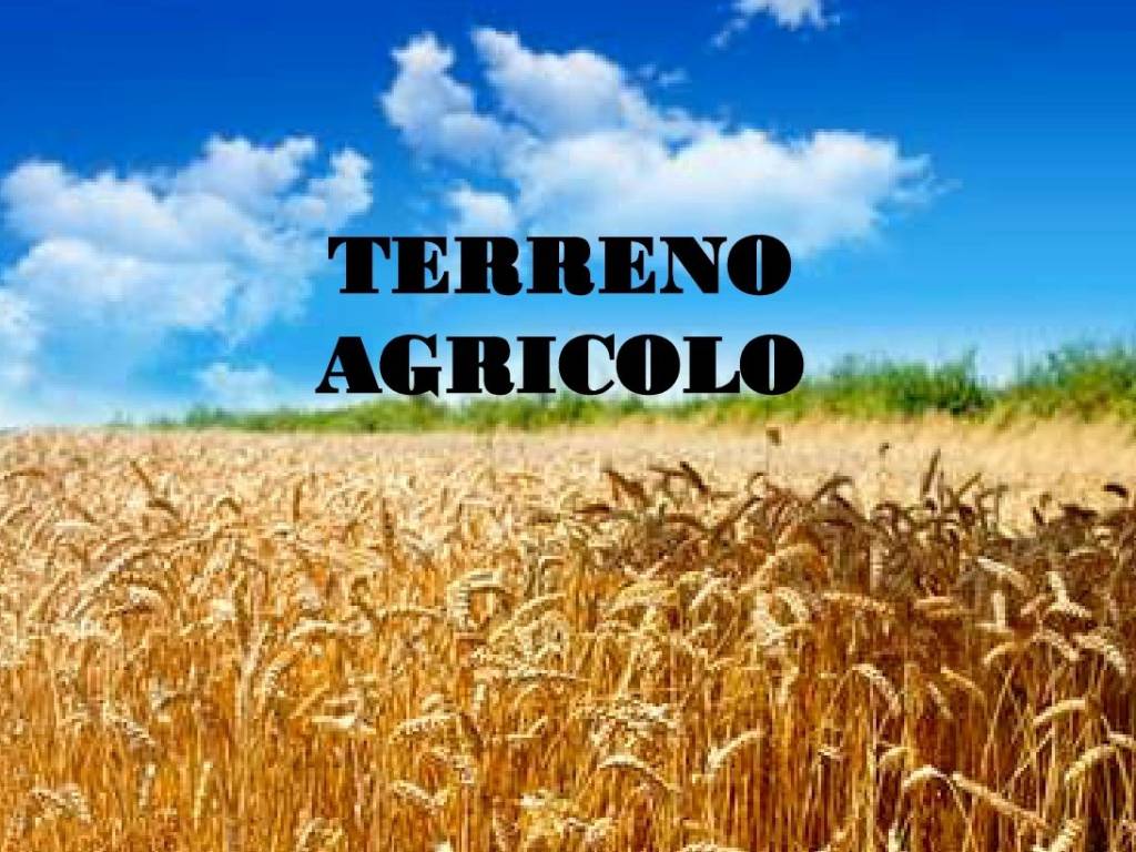 TERRENO AGRICOLO A CORPO UNICO