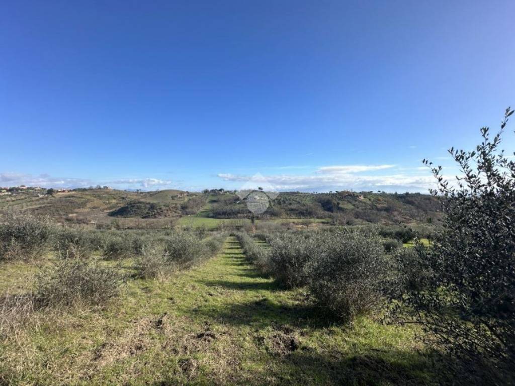 Terreno agricolo via santa lucia, morlupo