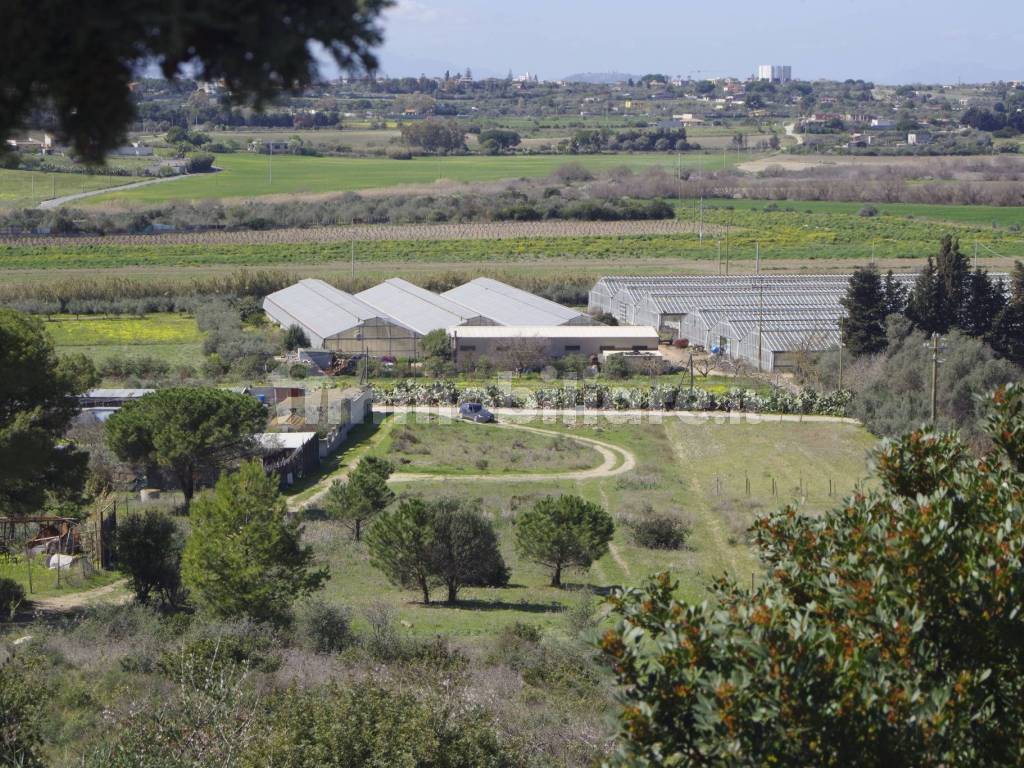 Vista