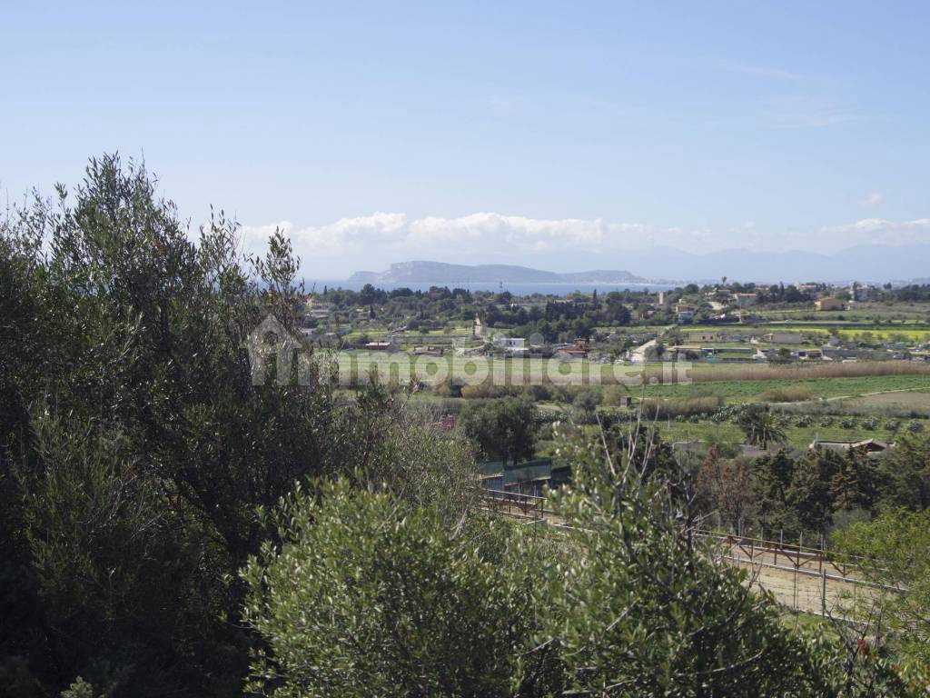 Vista