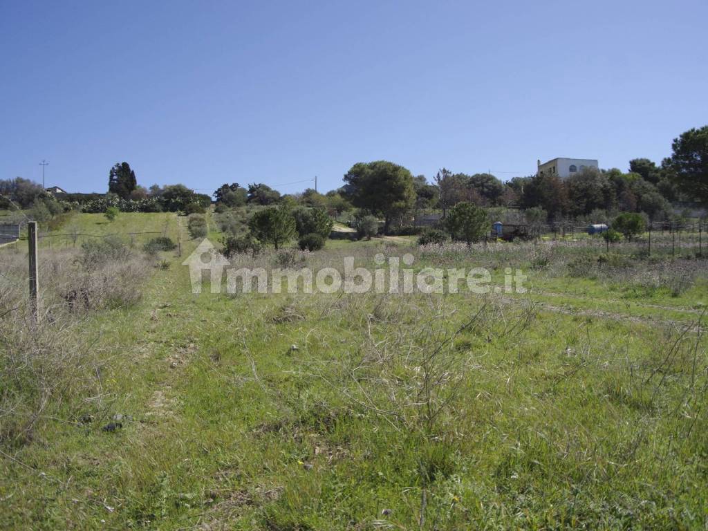 Terreno