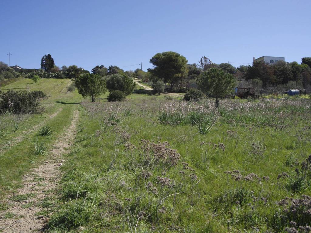 Terreno