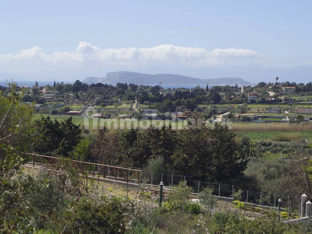 Vista