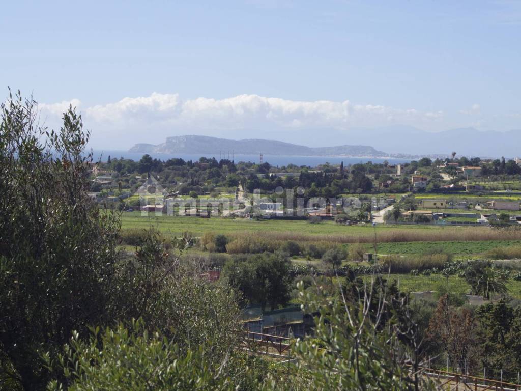 Vista