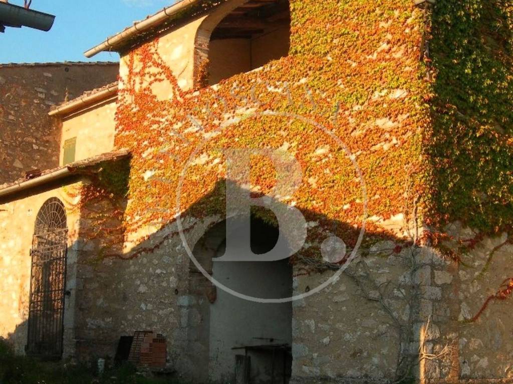 FARMHOUSE COMPLEX - Sovicille (Si)