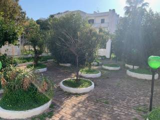 giardino 3