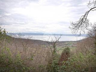 Foto - Vendita Rustico / Casale da ristrutturare, Montefiascone, Lago di Bolsena