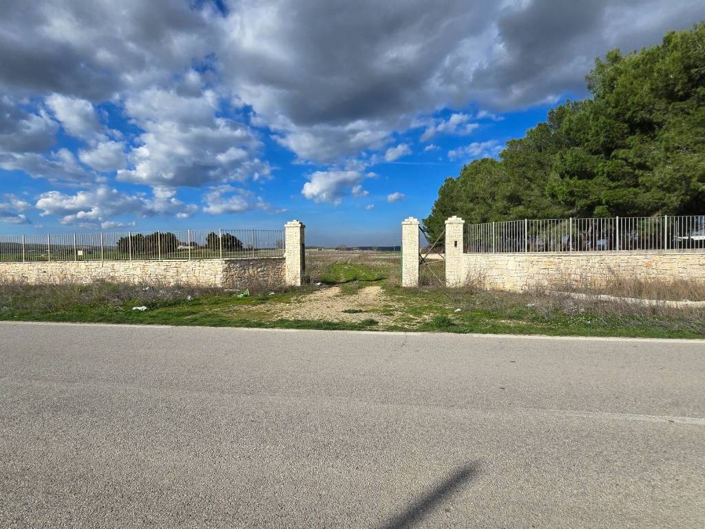 Terreno agricolo strada provinciale di altamura, altamura