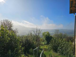 Vista