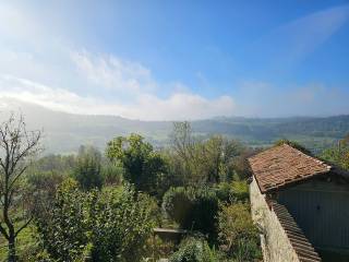 Vista