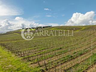 Villa in borgo medievale con terreno a Vinci