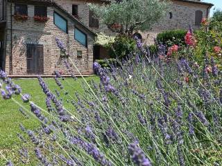 Foto - Vendita villa con giardino, Montegridolfo, Romagna