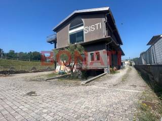 IMG-20230711-WA0008.jpg