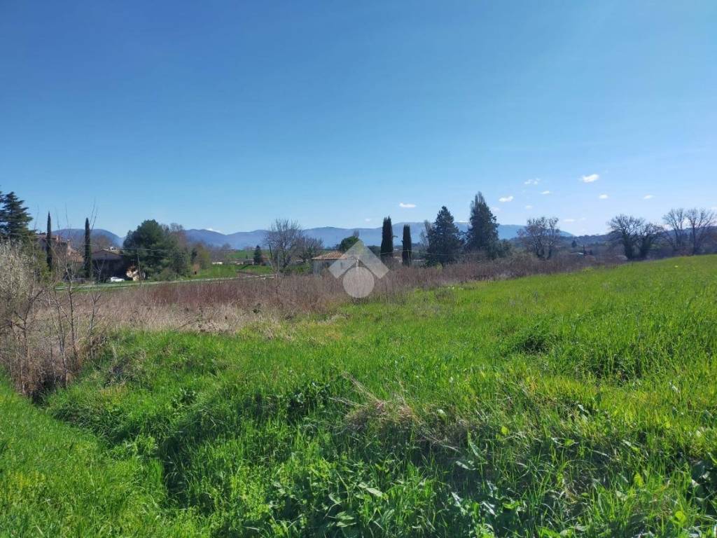 Terreno
