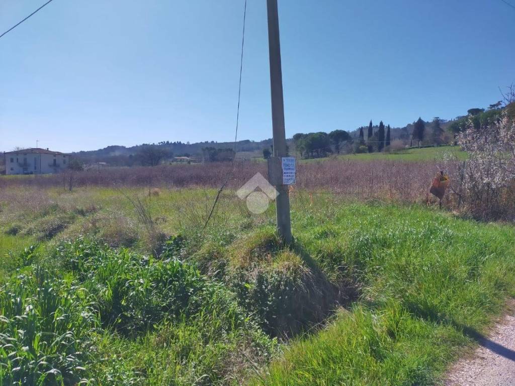 Terreno