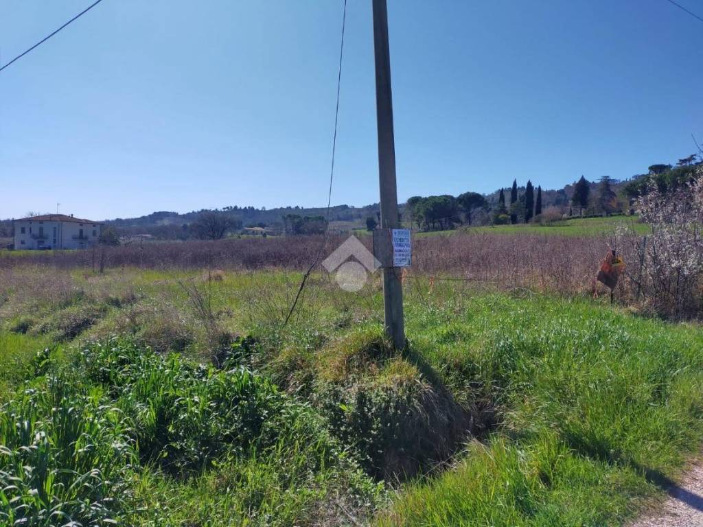 Terreno