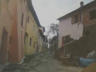 Zona