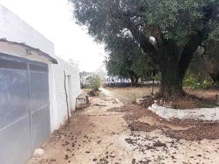 Trulli panoramici